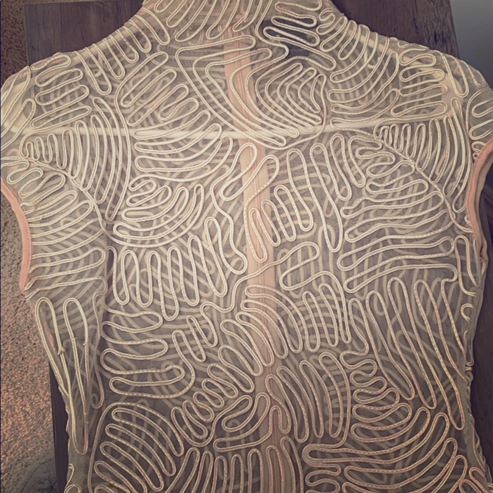 Mesh Blouse with Pink Embroidery